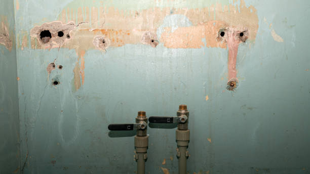 Best Fire Damage Restoration  in Plainview, TN