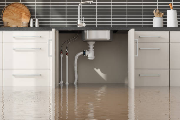 Best Carpet water damage restoration  in Plainview, TN