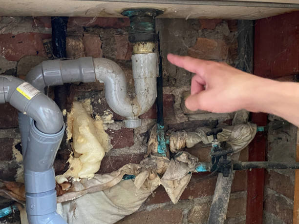Best Water damage cleanup near me  in Plainview, TN